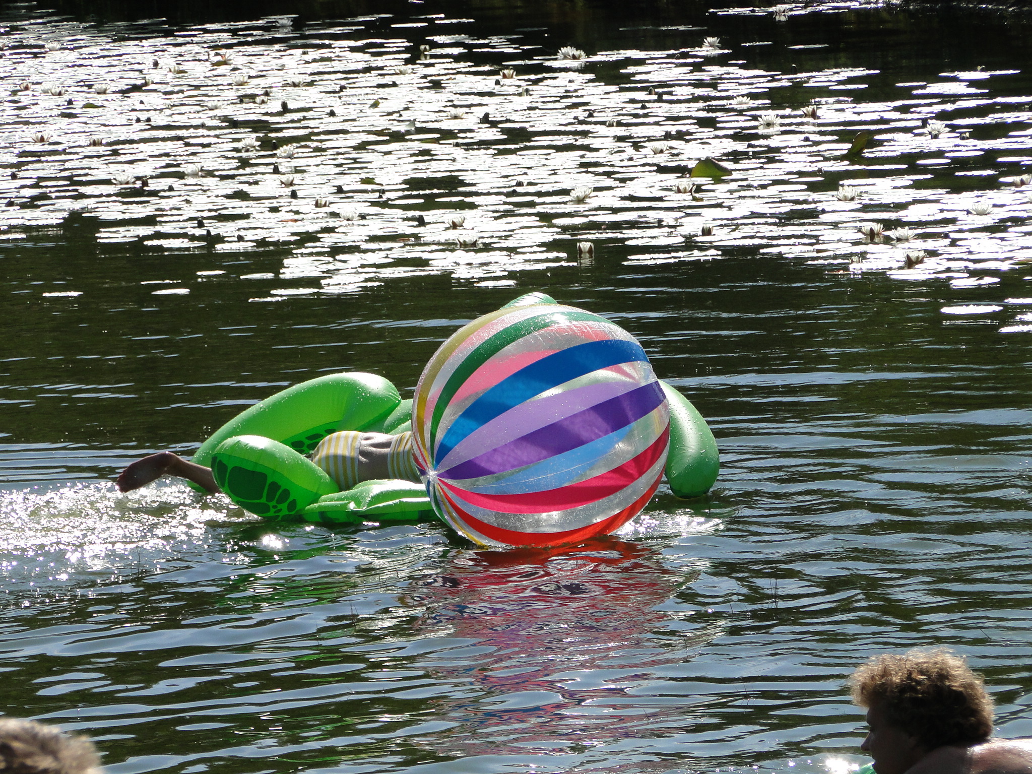 2011HWK 329.jpg